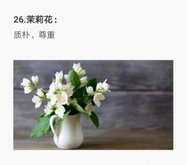 50種花的&OpenCurlyDoubleQuote;花語&rdquo;你知道那些？&lpar;二）「建議轉發收藏」