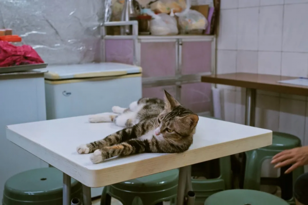 二刷廣州怎麼玩?這4條馬路帶你用本地人視角找美食 二刷廣州怎麼玩?這4條馬路帶你用本地人視角找美食