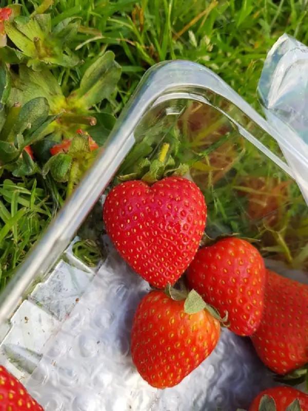 這36張照片,簡直是完美主義者的福音 這36張照片,簡直是完美主義者的福音