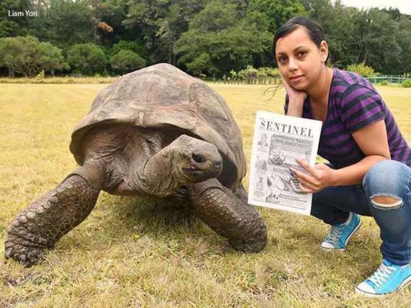神龜雖壽，猜猜看到底有多壽
