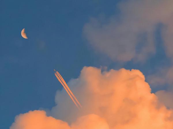 一個人越活越好看的樣子：生活淡然，靈魂豐富