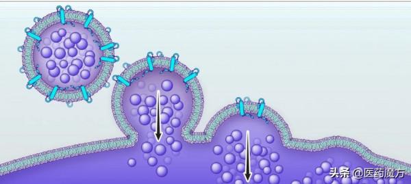 同日7家跨國藥企達成合作，3家涉及AI製藥