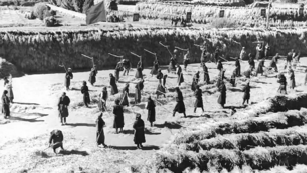 顏值逆天卻不屑一顧，紮根油田五十多年，默默無聞的混血科學家