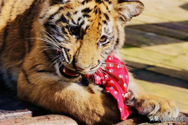 這個冬天，我們一起畢業