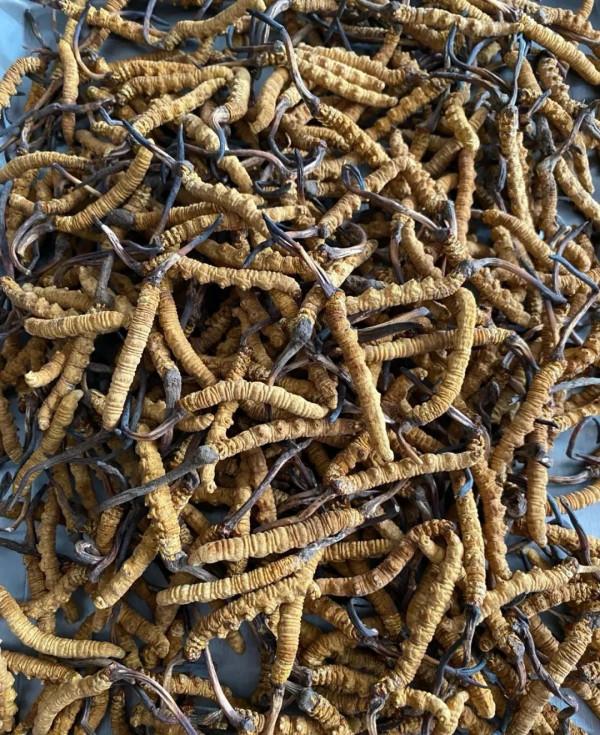 雲南珍貴的藥膳美味，不吃會後悔！藥食合一的獨特雲南味道