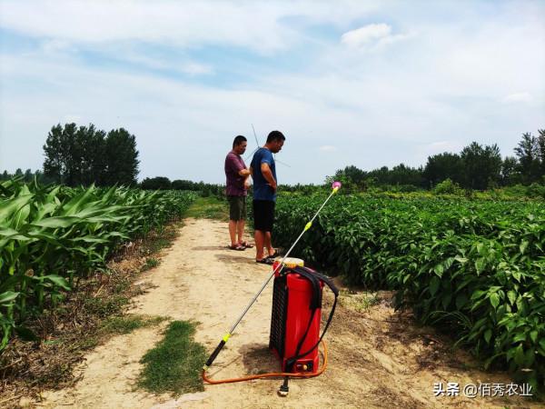 被“妖魔化”的草甘膦，對農作物和土地有副作用，還能放心使用嗎