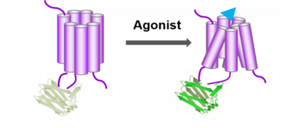 光纖記錄詳解，一文帶你詳細瞭解光纖記錄實驗