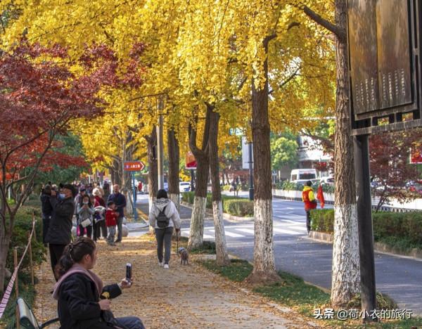 推薦蘇州3個小眾的打卡地,名氣不大卻很驚豔,超乎所值 推薦蘇州3個小眾的打卡地,名氣不大卻很驚豔,超乎所值
