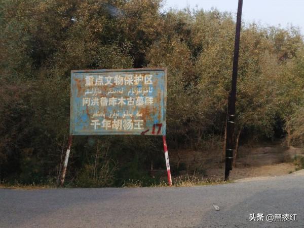 新疆自駕遊｜嶽普湖：沙漠邊的小城，墓群是孩子們的“遊樂場”