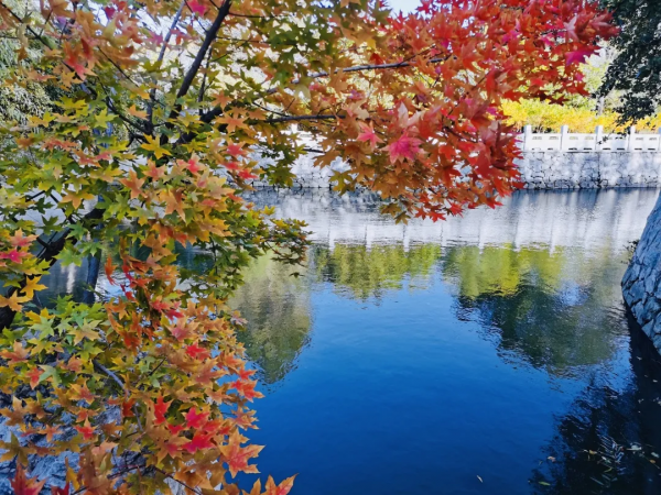 朝陽遊園推薦：大望京公園