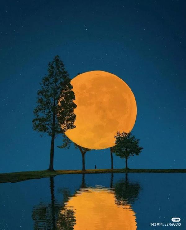 那個三十二歲的男人還是走了 那個三十二歲的男人還是走了