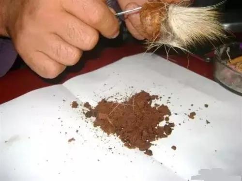 市場上比較緊俏的藥材有哪些?種植藥材,選對品種是關鍵 市場上比較緊俏的藥材有哪些?種植藥材,選對品種是關鍵