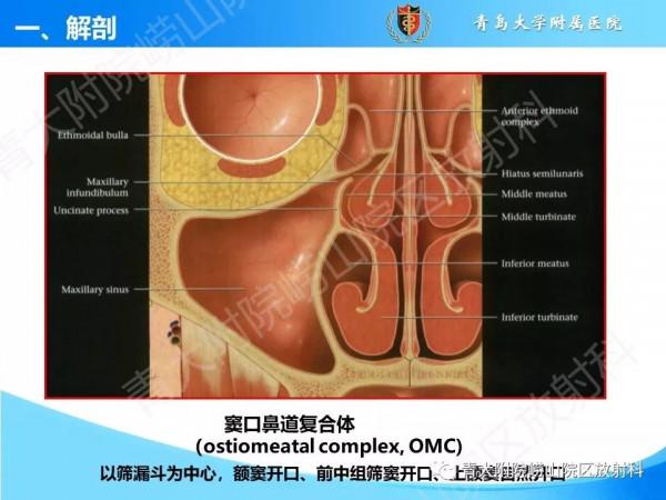 頭頸五官CT斷層解剖圖及常見病影像診斷