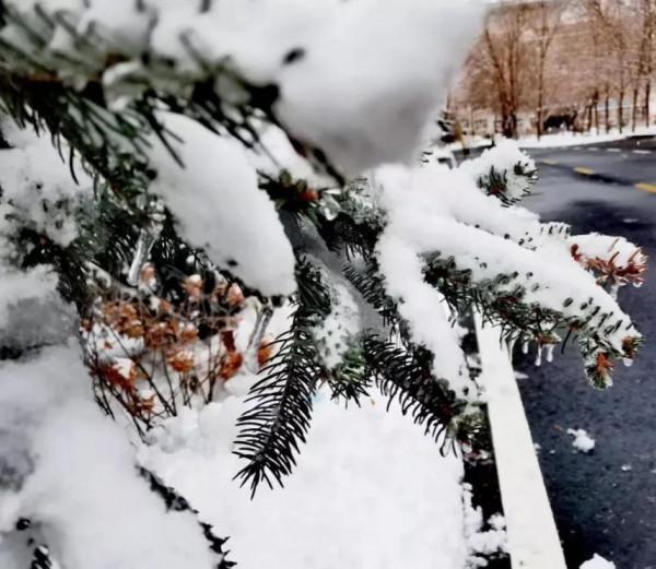 “雪似梅花,梅花似雪”~今日大雪節氣,欣賞幾首寫雪的名詩詞 “雪似梅花,梅花似雪”~今日大雪節氣,欣賞幾首寫雪的名詩詞