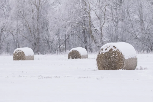 冬至 | 正在消失的「數九」風俗,為何惹愛酒人羨慕? 冬至 | 正在消失的「數九」風俗,為何惹愛酒人羨慕?