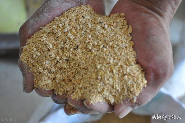 「學習筆記」譙仕彥院士：淺談豬營養和飼料的發展趨勢