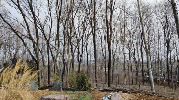 小山村發現有錢人豪宅
