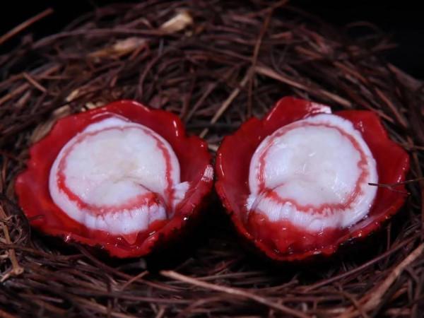 美麗的南紅雙和對