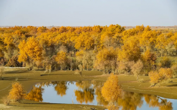 如果一年只能去一次南疆，千萬不要秋天去