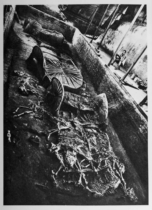 “百年百大考古發現”——北京大葆臺漢墓