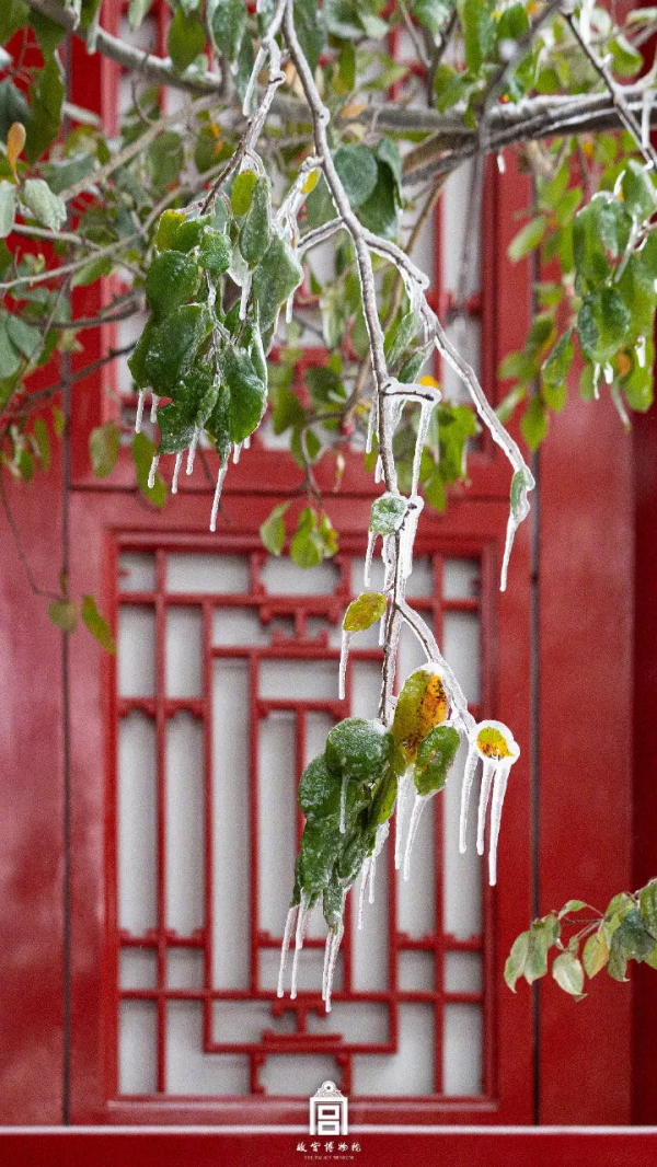 聽完29個雪的名字,原來每一場雪都獨一無二! 聽完29個雪的名字,原來每一場雪都獨一無二!