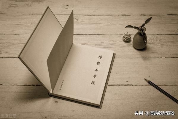 石斛為什麼那麼昂貴? 石斛為什麼那麼昂貴?