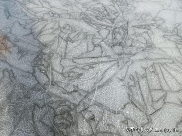 通州綠心森林公園南有個超大公園，免費停車免門票免費滑冰