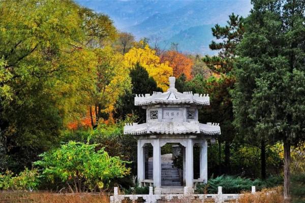 貫穿美景的靈魂公路,房山最“紅”賞秋打卡地 貫穿美景的靈魂公路,房山最“紅”賞秋打卡地