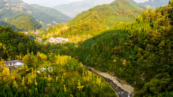 賞秋來這裡！什邡神瀑溝紅楓林金秋醉美風景上線~