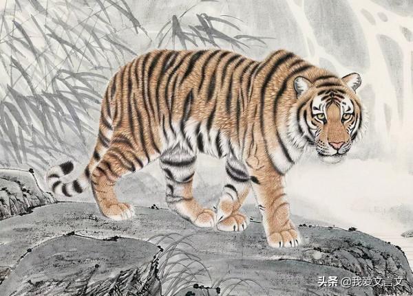 經典文言文賞析 | 說虎