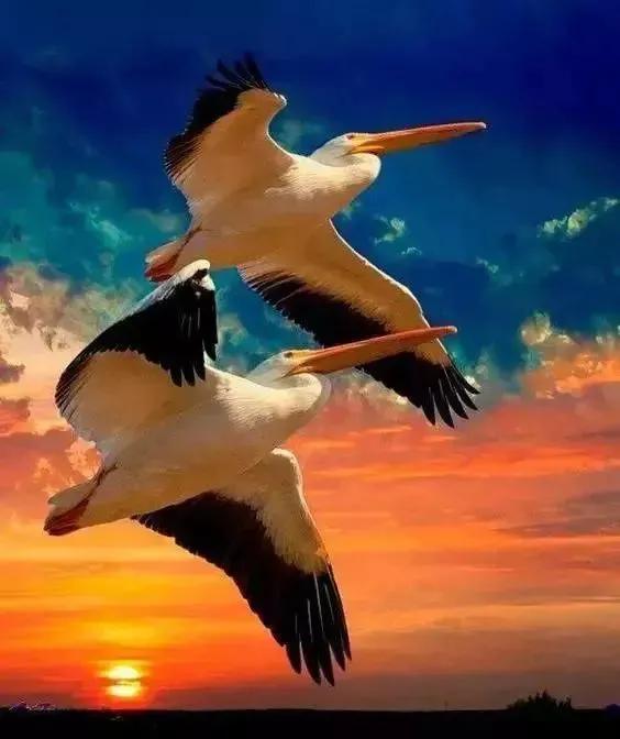 點亮愛的翅膀，帶著你一路飛翔，旅途有你，便是天堂