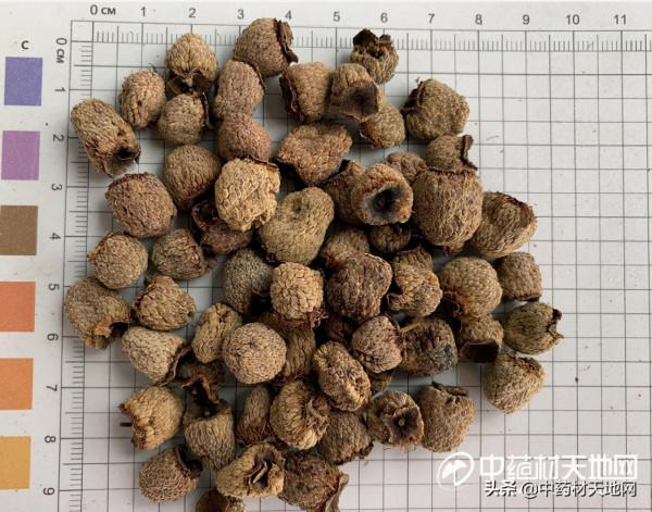 短短數月覆盆子行情上漲50%,資本力量還是供需矛盾? 短短數月覆盆子行情上漲50%,資本力量還是供需矛盾?