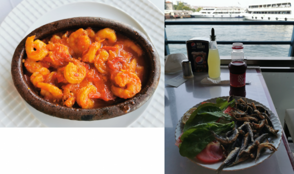 環遊土耳其&lpar;44&rpar;：食物中毒記