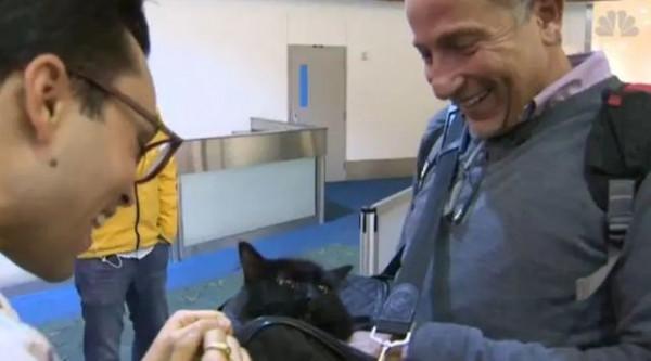 貓咪在走丟5年後，與鏟屎官再次重逢：多麼美好的緣分呀