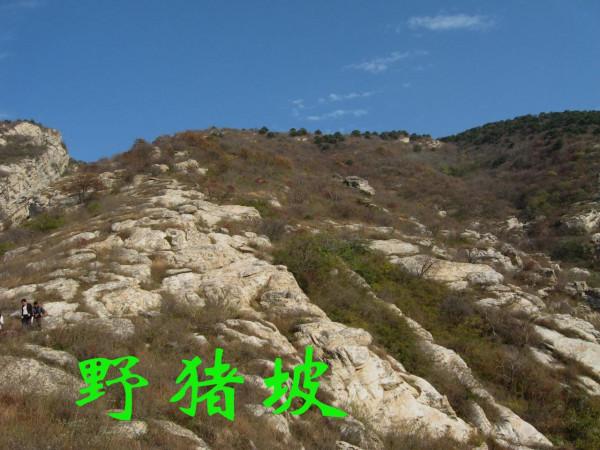 我的驢行日記——嵩山峻極峰