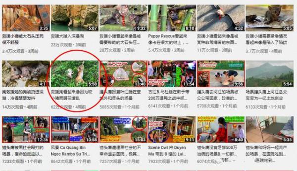 河中飄著塑膠瓶,裡面裝著1只貓,男子將貓救了起來:為了拍影片 河中飄著塑膠瓶,裡面裝著1只貓,男子將貓救了起來:為了拍影片