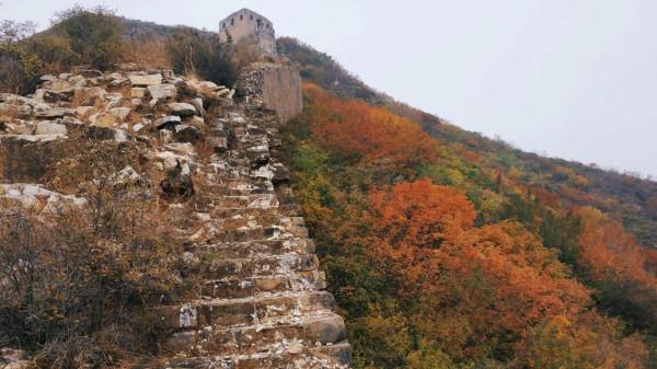 不出北京坐火車去賞秋,方便經濟不堵車,臥虎山蟠龍山盡顯中國紅 不出北京坐火車去賞秋,方便經濟不堵車,臥虎山蟠龍山盡顯中國紅