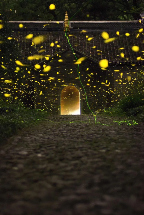 旅行就是一場修行，這10個最美的旅行地，攢錢也要去