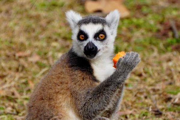&OpenCurlyDoubleQuote;大快朵頤&rdquo;過大年