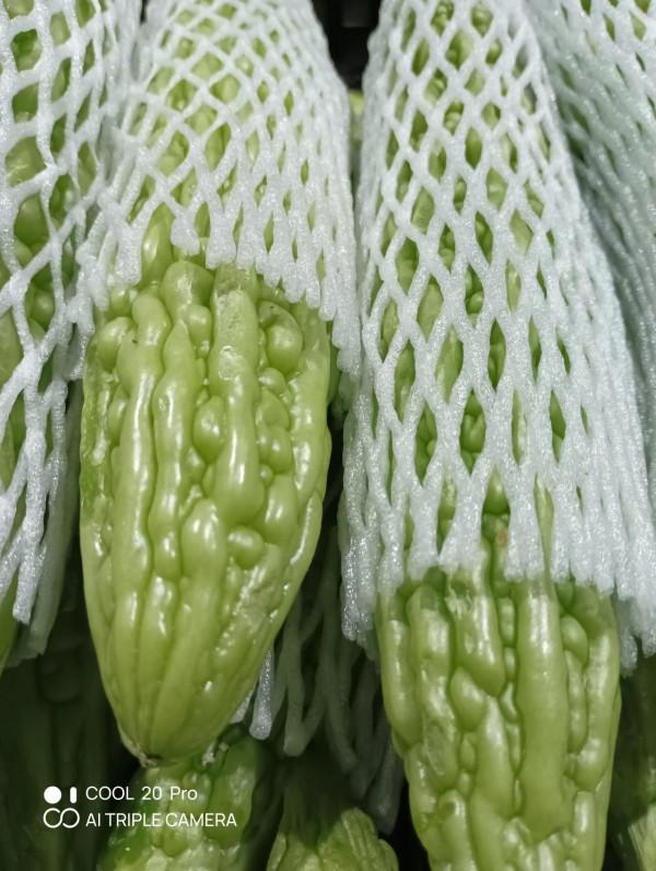 深度體驗cool 20pro拍照技術 深度體驗cool 20pro拍照技術