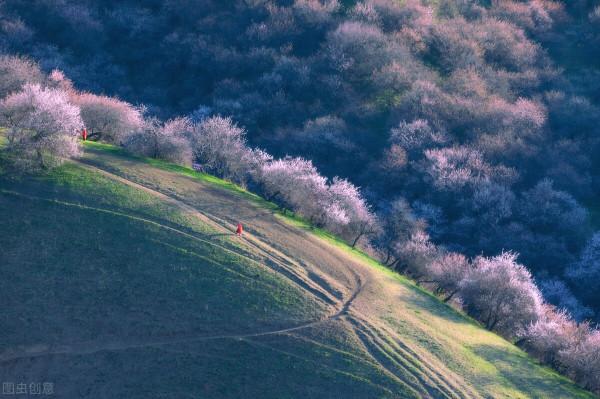 超出你想象的空中草原