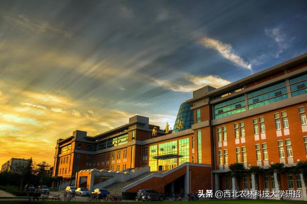 央視“點名”關注!陝西這所高校的全魚宴、巧克力饅頭饞哭網友 央視“點名”關注!陝西這所高校的全魚宴、巧克力饅頭饞哭網友