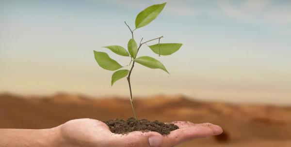 人類為何不能永生?科學家:人類都是“打工仔” 人類為何不能永生?科學家:人類都是“打工仔”