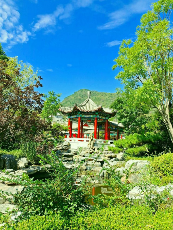 博山金秋紅葉美