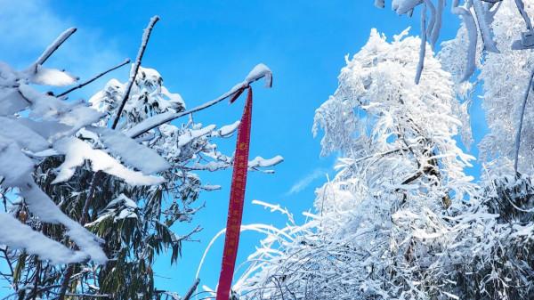 在家觀冬奧 聯想冰雪記憶