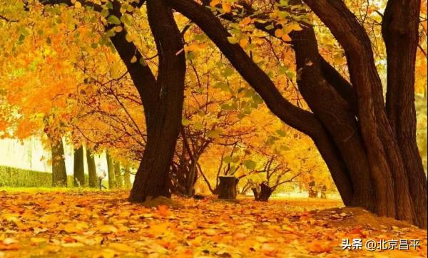 2021好幸運，和你在昌平走過春夏秋冬