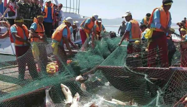 君威君臣：&OpenCurlyDoubleQuote;聯想&rdquo;釣魚人福音快到了，從允許開捕，到允許開釣