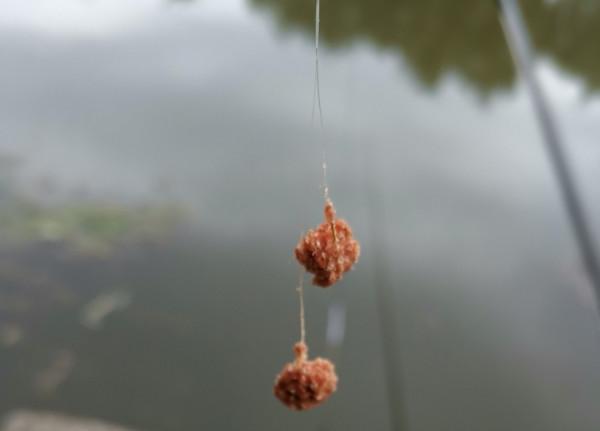 靈活多變才是漁獲的關鍵，大師的制勝法寶得好好學