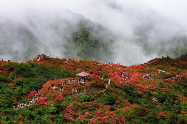 雲南又一景區走紅，年平均氣溫在16度，距大理8小時車程