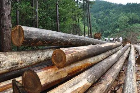 農村土地廣闊,合理利用效益最大化,哪幾種種植模式卻備受歡迎? 農村土地廣闊,合理利用效益最大化,哪幾種種植模式卻備受歡迎?